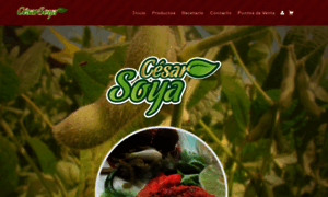 Cesarsoya.com.mx thumbnail