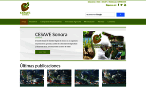 Cesaveson.com thumbnail
