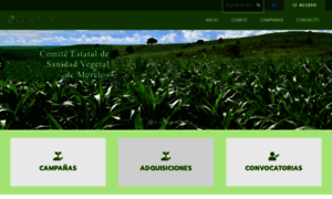 Cesvmor.org.mx thumbnail