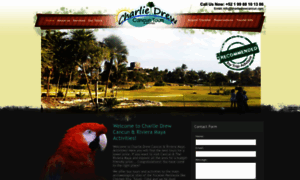 Charliedrewcancun.com thumbnail