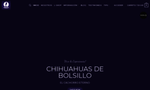 Chihuahuasdebolsillo.com thumbnail