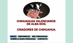 Chihuahuasvalencianosdealbadog.jimdo.com thumbnail