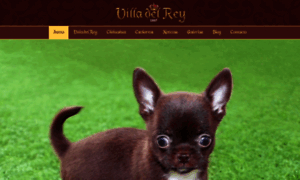 Chihuahuasvilladelrey.com thumbnail