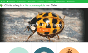 Chinita-arlequin.uchile.cl thumbnail