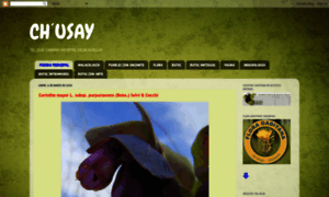 Chusay.blogspot.com thumbnail