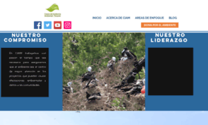 Ciampanama.org thumbnail