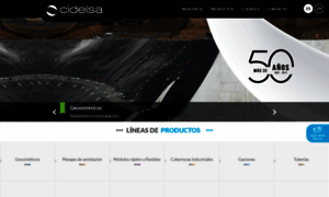 Cidelsa.com thumbnail