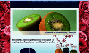 Cidsc.com thumbnail
