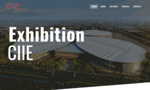 Ciie.nl thumbnail