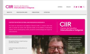 Ciir.cl thumbnail