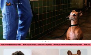 Cletoelinfluencer.com thumbnail