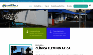 Clinicaflemingarica.cl thumbnail