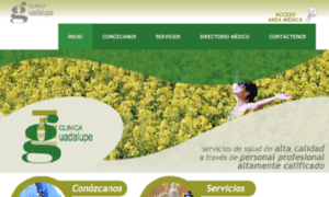 Clinicaguadalupemaracay.com thumbnail