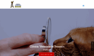 Clinicaveterinariabeasain.es thumbnail