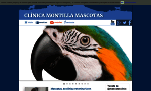 Clinicaveterinariamontillamascotas.es thumbnail