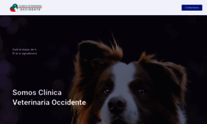 Clinicaveterinariaoccidente.com thumbnail