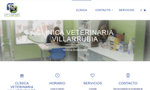 Clinicaveterinariavillarrubia.com thumbnail
