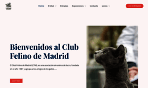 Clubfelinodemadrid.es thumbnail