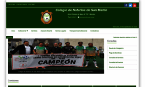 Cnsm.org.pe thumbnail