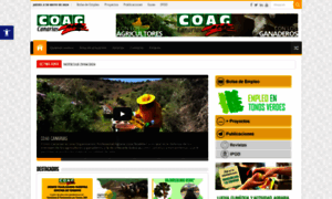 Coagcanarias.com thumbnail