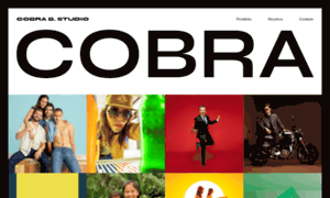 Cobrabrandingstudio.com thumbnail