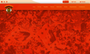 Cobreloa.cl thumbnail