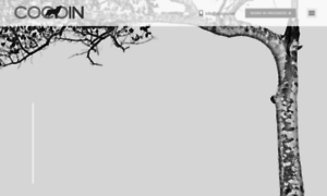 Cocoin.net thumbnail