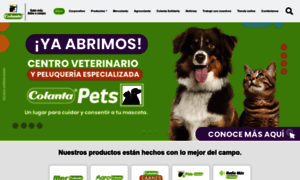 Colanta.com thumbnail