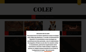 Colef.net thumbnail