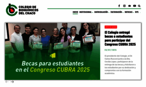 Colegiobioquimicochaco.org.ar thumbnail