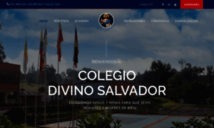 Colegiodivinosalvador.edu.co thumbnail