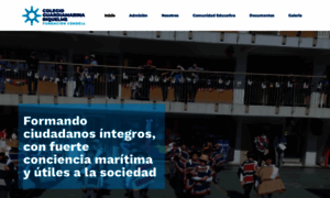 Colegiogriquelme.cl thumbnail