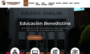 Colegioguadalupe.edu.mx thumbnail