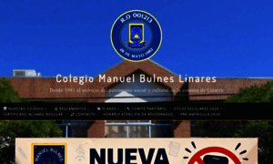Colegiomanuelbulnes.cl thumbnail