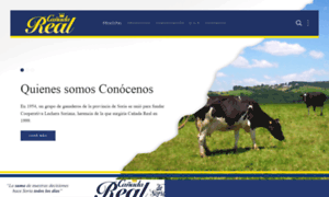Coleso.com thumbnail