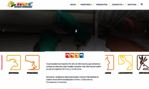 Collinsdivisionveterinaria.com thumbnail