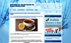 Colonirritablecuranatural.blogspot.mx thumbnail