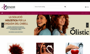 Comercialrenoir.com thumbnail