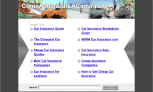 Comoadelgazarlacintura.org thumbnail