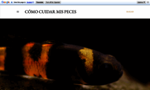Comocuidarmispeces.blogspot.com thumbnail
