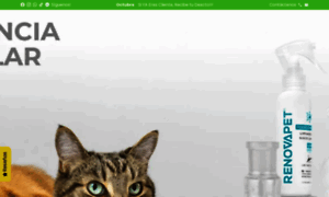 Compraperfecta.co thumbnail