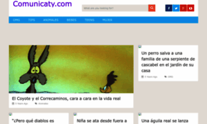 Comunicaty.com thumbnail