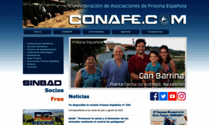 Conafe.com thumbnail
