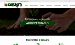 Conagra.com.pe thumbnail