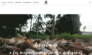 Conamuri.org.py thumbnail