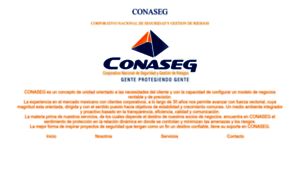 Conaseg.com.mx thumbnail