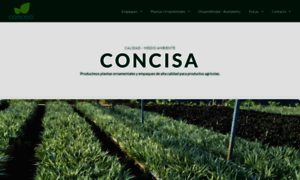 Concisa.com.gt thumbnail