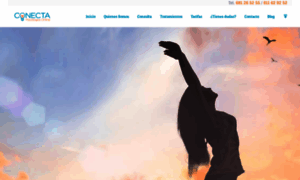 Conectapsicologosonline.com thumbnail
