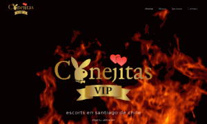 Conejitasvip.cl thumbnail