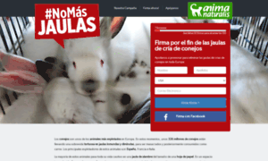 Conejos.animanaturalis.org thumbnail